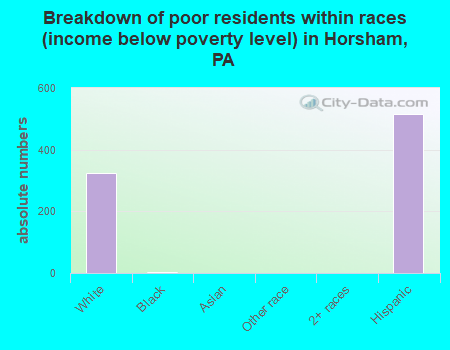 Breakdown of poor residents within races (income below poverty level) in Horsham, PA