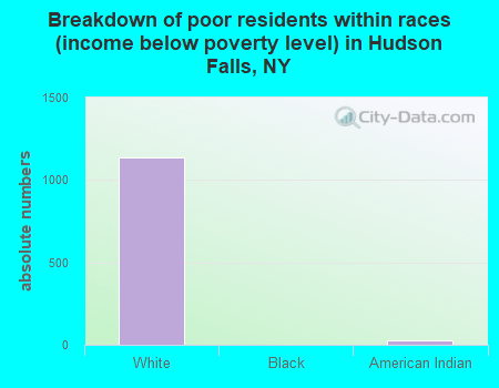 Breakdown of poor residents within races (income below poverty level) in Hudson Falls, NY