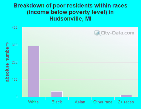 Breakdown of poor residents within races (income below poverty level) in Hudsonville, MI