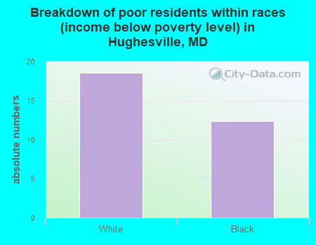 Breakdown of poor residents within races (income below poverty level) in Hughesville, MD
