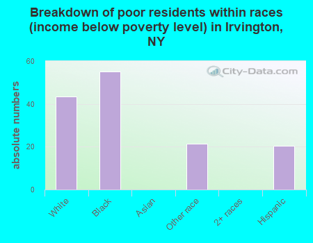 Breakdown of poor residents within races (income below poverty level) in Irvington, NY