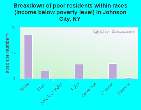 Breakdown of poor residents within races (income below poverty level) in Johnson City, NY