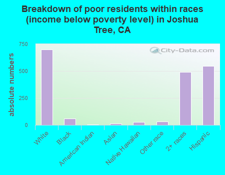 Breakdown of poor residents within races (income below poverty level) in Joshua Tree, CA