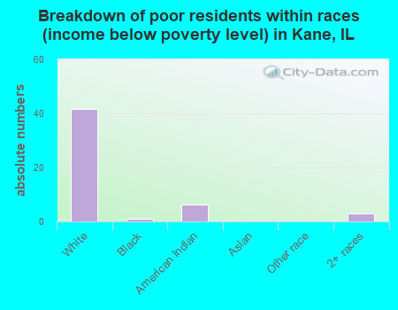Breakdown of poor residents within races (income below poverty level) in Kane, IL