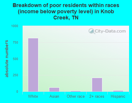 Breakdown of poor residents within races (income below poverty level) in Knob Creek, TN