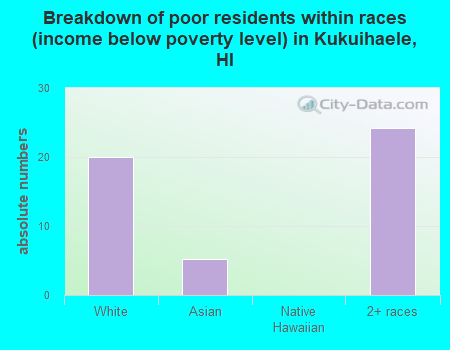 Breakdown of poor residents within races (income below poverty level) in Kukuihaele, HI
