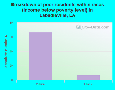 Breakdown of poor residents within races (income below poverty level) in Labadieville, LA