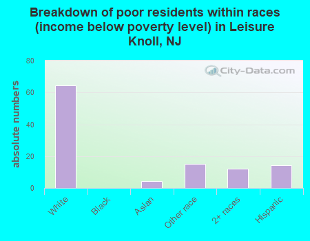 Breakdown of poor residents within races (income below poverty level) in Leisure Knoll, NJ
