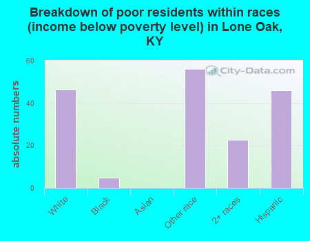 Breakdown of poor residents within races (income below poverty level) in Lone Oak, KY