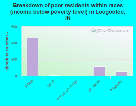 Breakdown of poor residents within races (income below poverty level) in Loogootee, IN