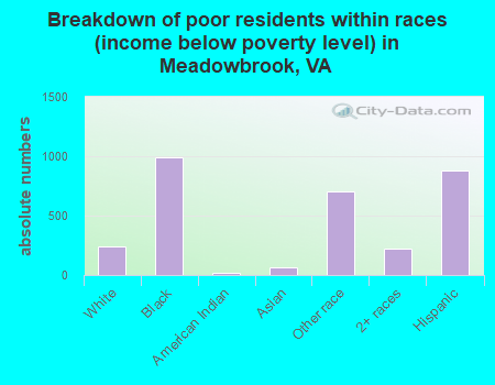 Breakdown of poor residents within races (income below poverty level) in Meadowbrook, VA