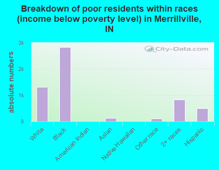 Breakdown of poor residents within races (income below poverty level) in Merrillville, IN