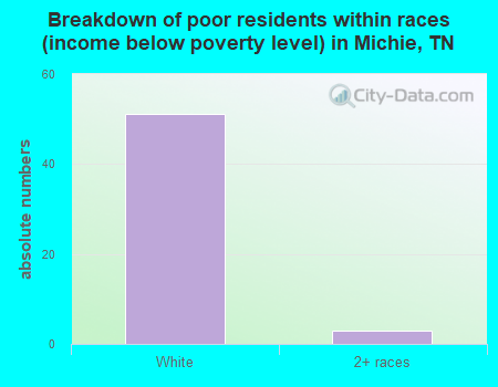 Breakdown of poor residents within races (income below poverty level) in Michie, TN