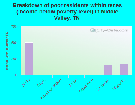 Breakdown of poor residents within races (income below poverty level) in Middle Valley, TN