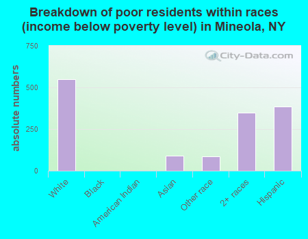 Breakdown of poor residents within races (income below poverty level) in Mineola, NY