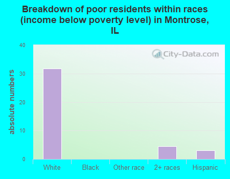 Breakdown of poor residents within races (income below poverty level) in Montrose, IL