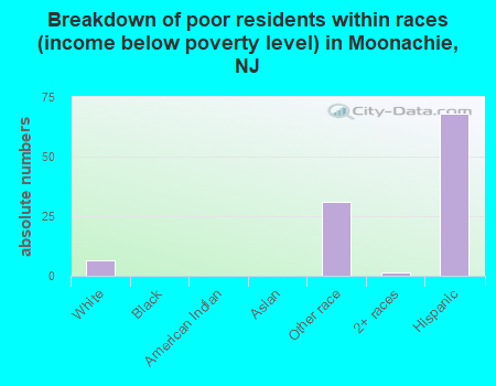 Breakdown of poor residents within races (income below poverty level) in Moonachie, NJ