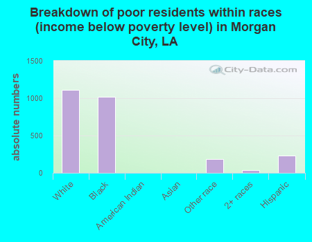 Breakdown of poor residents within races (income below poverty level) in Morgan City, LA