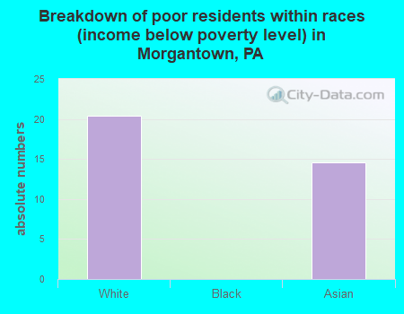 Breakdown of poor residents within races (income below poverty level) in Morgantown, PA