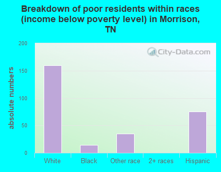 Breakdown of poor residents within races (income below poverty level) in Morrison, TN