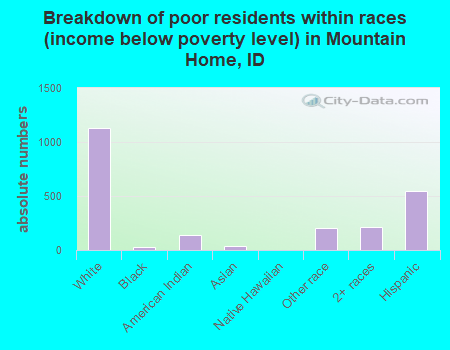 Breakdown of poor residents within races (income below poverty level) in Mountain Home, ID