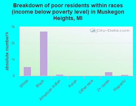 Breakdown of poor residents within races (income below poverty level) in Muskegon Heights, MI