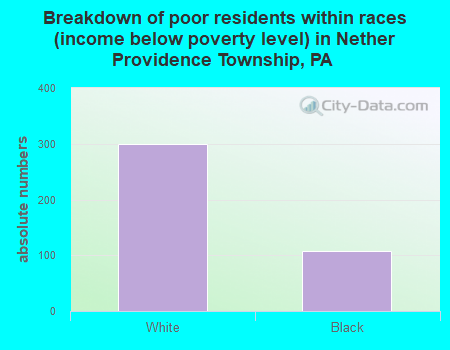 Breakdown of poor residents within races (income below poverty level) in Nether Providence Township, PA