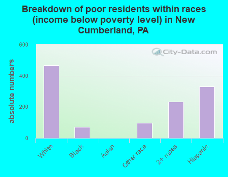 Breakdown of poor residents within races (income below poverty level) in New Cumberland, PA