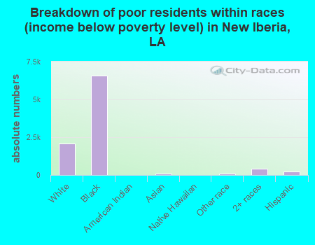 Breakdown of poor residents within races (income below poverty level) in New Iberia, LA