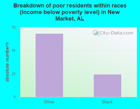 Breakdown of poor residents within races (income below poverty level) in New Market, AL