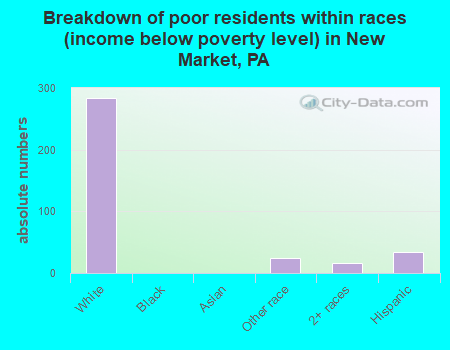 Breakdown of poor residents within races (income below poverty level) in New Market, PA