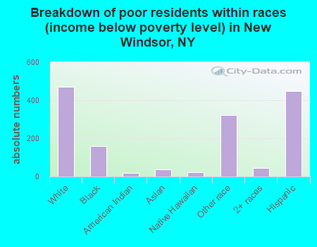 Breakdown of poor residents within races (income below poverty level) in New Windsor, NY