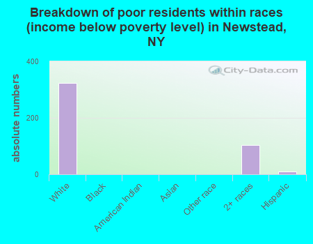 Breakdown of poor residents within races (income below poverty level) in Newstead, NY