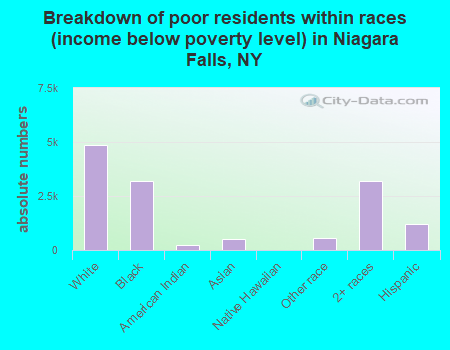 Breakdown of poor residents within races (income below poverty level) in Niagara Falls, NY