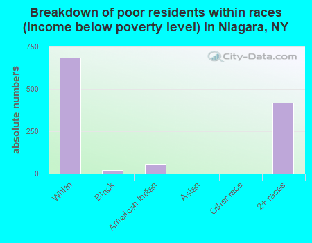 Breakdown of poor residents within races (income below poverty level) in Niagara, NY