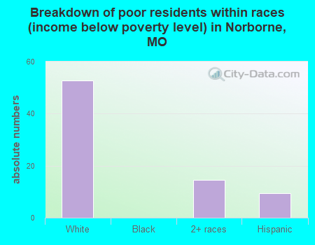 Breakdown of poor residents within races (income below poverty level) in Norborne, MO