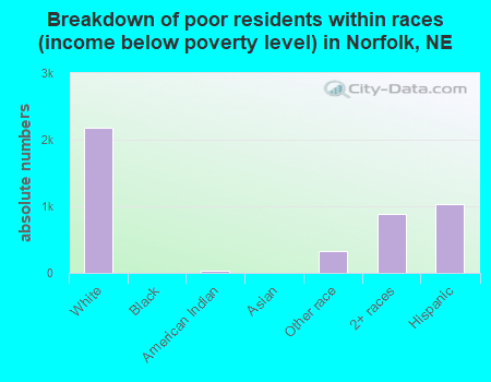 Breakdown of poor residents within races (income below poverty level) in Norfolk, NE