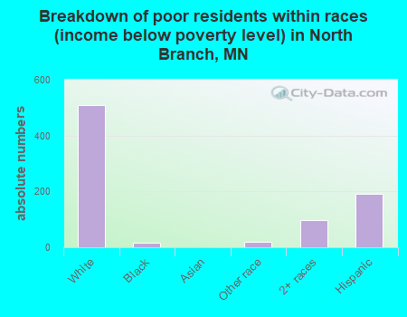 Breakdown of poor residents within races (income below poverty level) in North Branch, MN