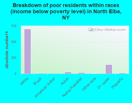 Breakdown of poor residents within races (income below poverty level) in North Elba, NY