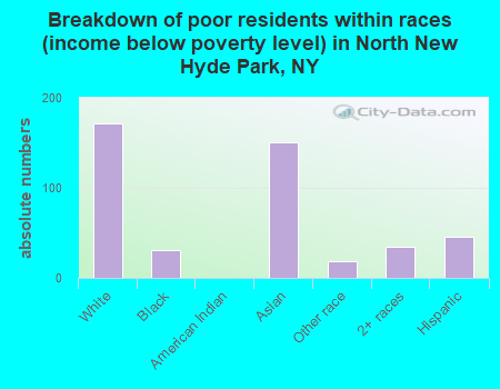 Breakdown of poor residents within races (income below poverty level) in North New Hyde Park, NY