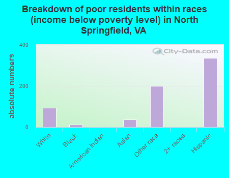 Breakdown of poor residents within races (income below poverty level) in North Springfield, VA