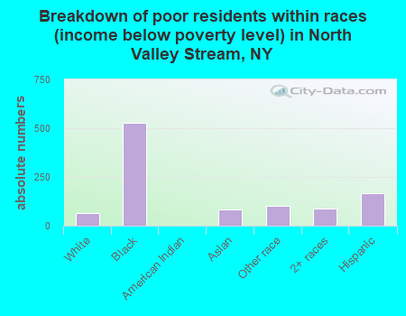 Breakdown of poor residents within races (income below poverty level) in North Valley Stream, NY