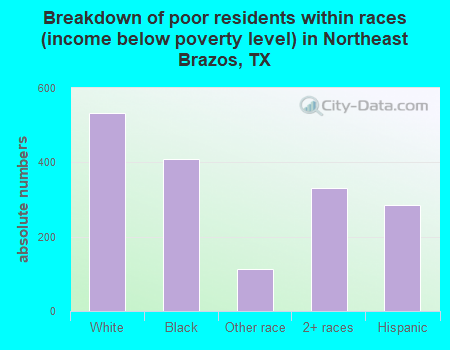 Breakdown of poor residents within races (income below poverty level) in Northeast Brazos, TX