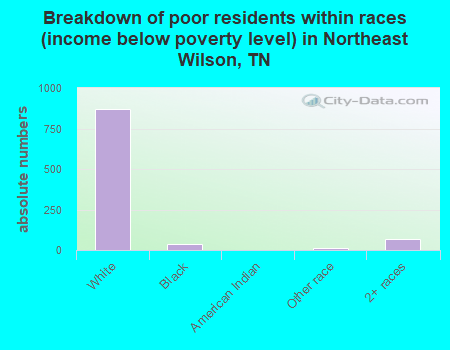 Breakdown of poor residents within races (income below poverty level) in Northeast Wilson, TN
