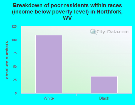 Breakdown of poor residents within races (income below poverty level) in Northfork, WV