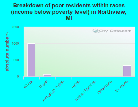 Breakdown of poor residents within races (income below poverty level) in Northview, MI
