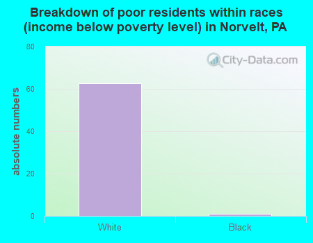 Breakdown of poor residents within races (income below poverty level) in Norvelt, PA