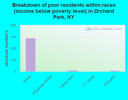 Breakdown of poor residents within races (income below poverty level) in Orchard Park, NY