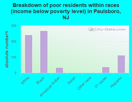 Breakdown of poor residents within races (income below poverty level) in Paulsboro, NJ