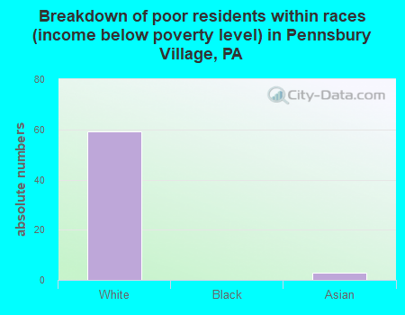 Breakdown of poor residents within races (income below poverty level) in Pennsbury Village, PA